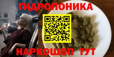 гидропоника Партизанск