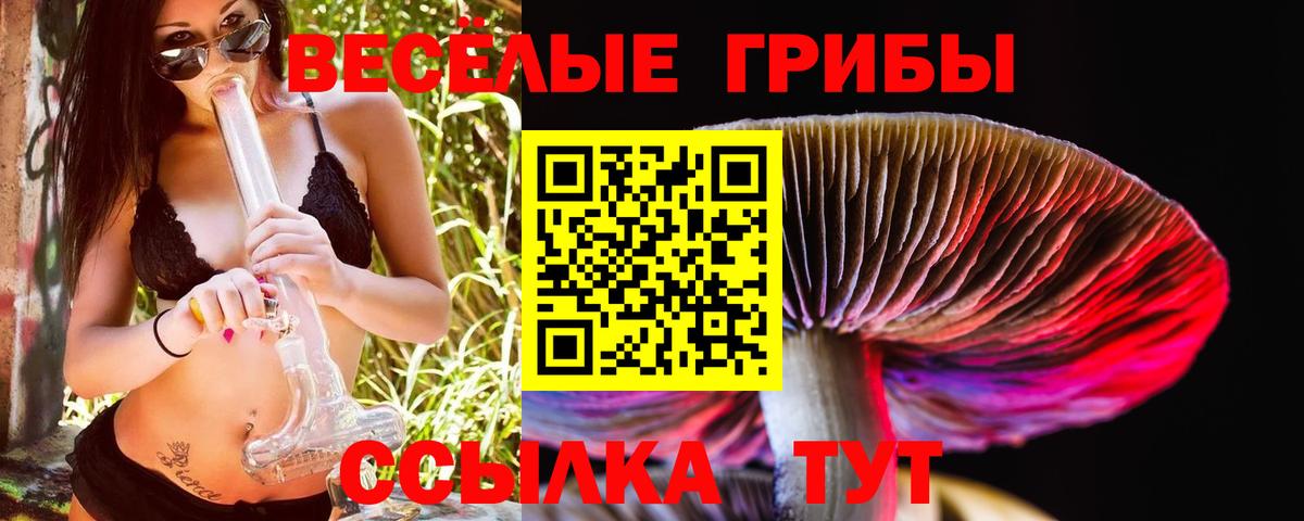 Галлюциногенные грибы мухоморы Углич